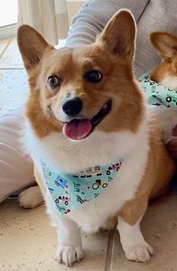 Best Friends a la Petite photo 15