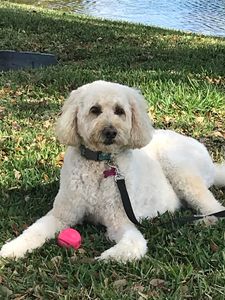 Best Friends a la Petite photo 17