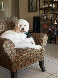 Best Friends a la Petite photo 20