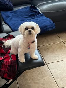 Best Friends a la Petite photo 23