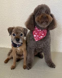 Best Friends a la Petite photo 24