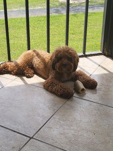 Best Friends a la Petite photo 27