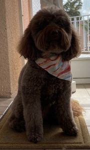 Best Friends a la Petite photo 29