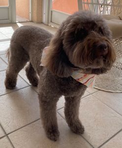 Best Friends a la Petite photo 30