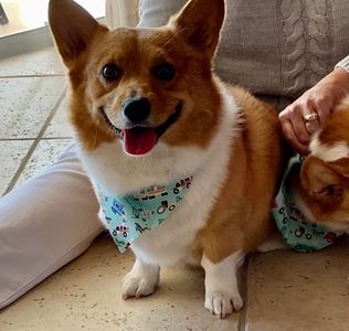 Best Friends a la Petite photo 31