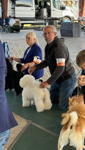 The Club Pet Grooming FL photo 22