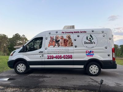 Doodle's Pet Grooming