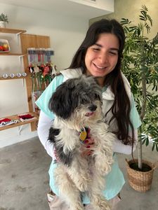 My Dog Spaw photo 14