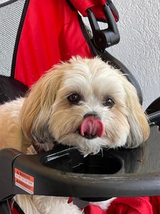 Crossroads Vet Clinic