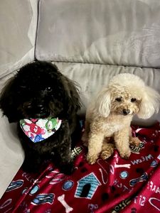 Crossroads Vet Clinic photo 3