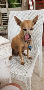 Crossroads Vet Clinic photo 5