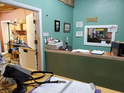 All Pets Grooming & Boarding photo 2