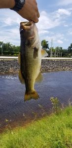 All Pets Grooming & Boarding photo 10