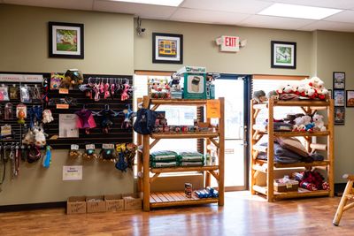 Camp Bow Wow Naples photo 8