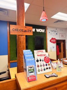 Camp Bow Wow Naples photo 14