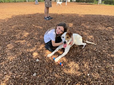 Camp Bow Wow Naples photo 30