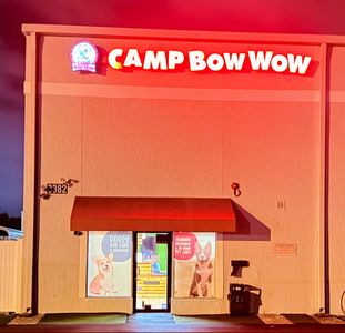 Camp Bow Wow Naples photo 36