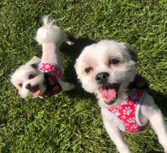 Backwoods Feed & Grooming photo 2