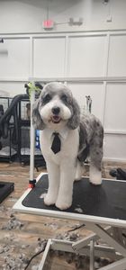 Backwoods Feed & Grooming photo 4