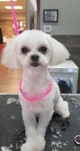 Backwoods Feed & Grooming photo 10