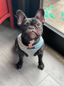 Backwoods Feed & Grooming photo 11