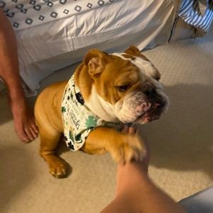 Backwoods Feed & Grooming photo 13