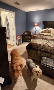 Backwoods Feed & Grooming photo 14