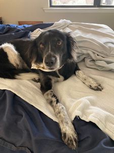 Backwoods Feed & Grooming photo 15