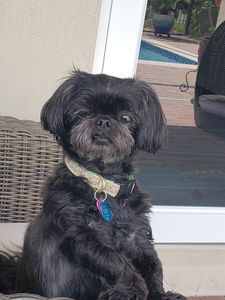 Backwoods Feed & Grooming photo 16