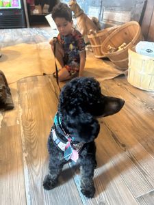 Backwoods Feed & Grooming photo 17