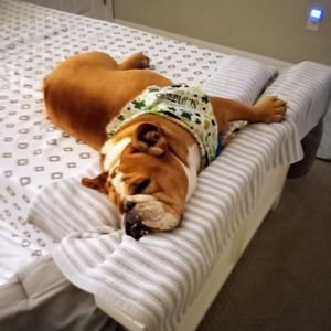 Backwoods Feed & Grooming photo 18