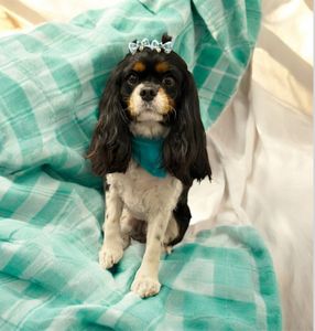 Backwoods Feed & Grooming photo 19