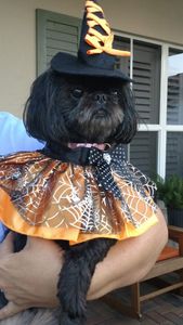 Backwoods Feed & Grooming photo 20