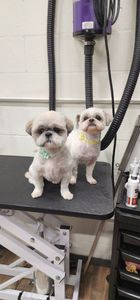 Backwoods Feed & Grooming photo 23