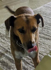 Backwoods Feed & Grooming photo 25