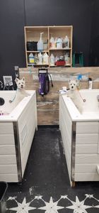 Backwoods Feed & Grooming photo 28