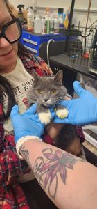 Backwoods Feed & Grooming photo 34