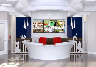 Pampered Pet Resorts photo 38