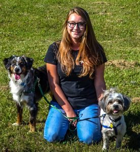 Pampered Pet Resorts photo 56