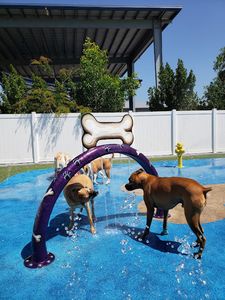 Pampered Pet Resorts photo 17