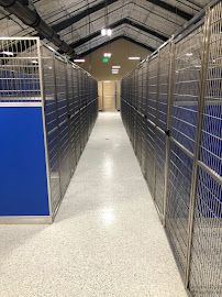 Pampered Pet Resorts photo 36