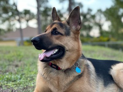 Brown Veterinary Clinic photo 7