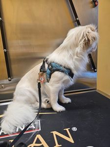 Brown Veterinary Clinic photo 14