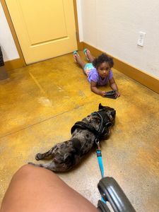 Brown Veterinary Clinic photo 21