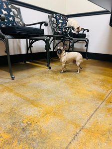 Brown Veterinary Clinic photo 30