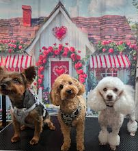 LIL DARLINS DOG GROOMING LLC