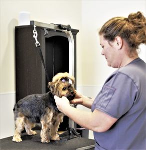 Town & Country Pet Grooming