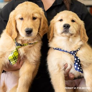 Petland Naples photo 11