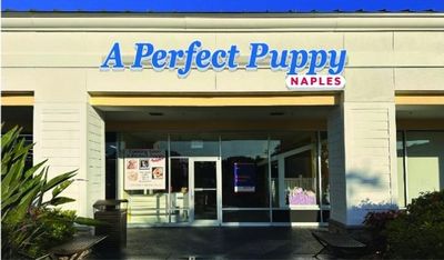 Petland Naples photo 21
