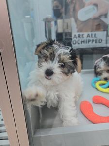 Petland Naples photo 36